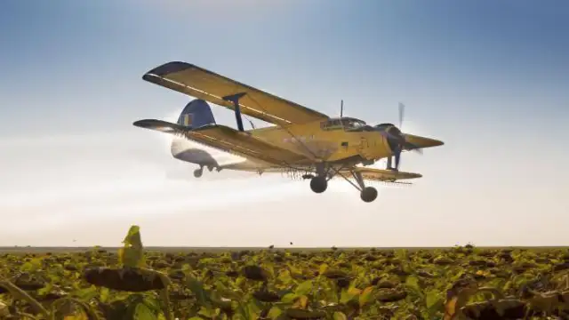 Fotografie preluată de pe site-ul agrointel.ro