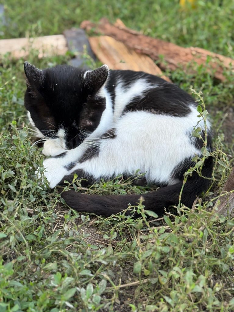 0d6482b1-7260-4b70-9237-2513d05fc3af