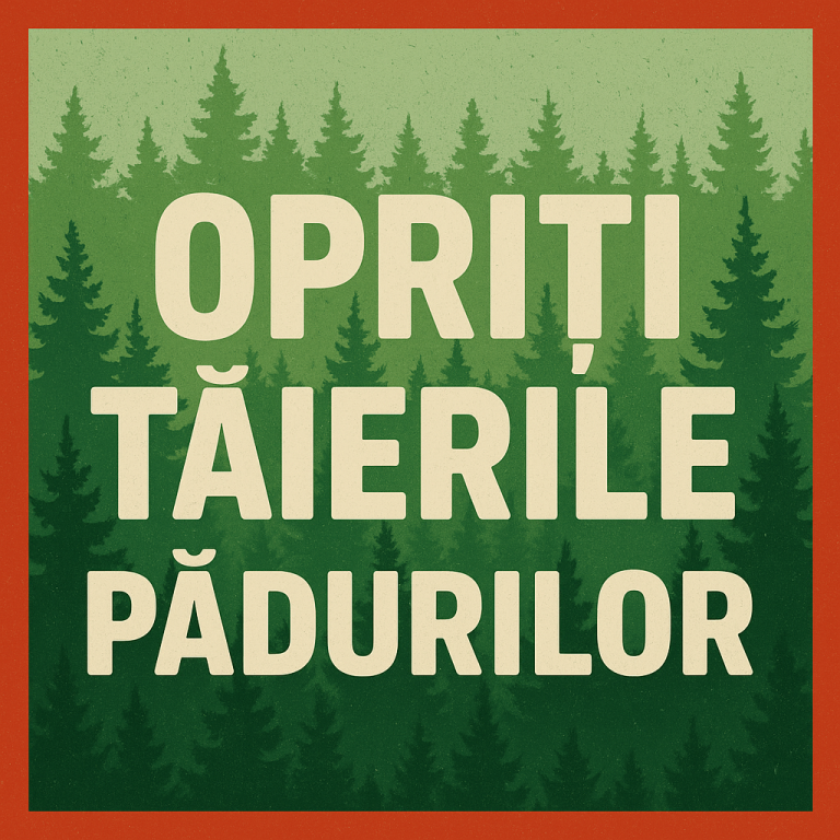 ChatGPT Image Aug 26, 2025, 08_19_43 PM