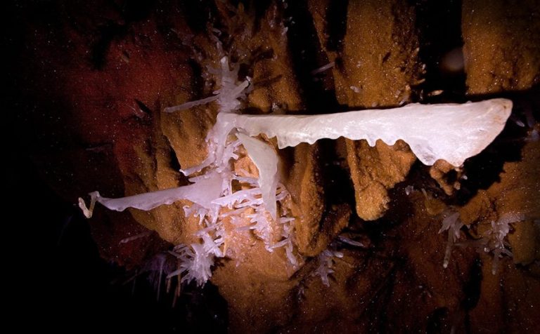 Padurea-Craiului-Tara-Beiusului-Pestera-cu-cristale-Farcu-887x550