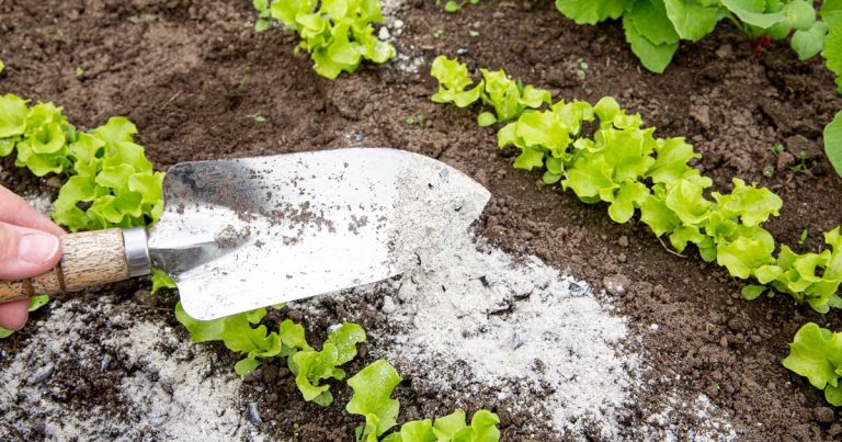 Wood-Ash-Fertilizer-and-Compost-FB