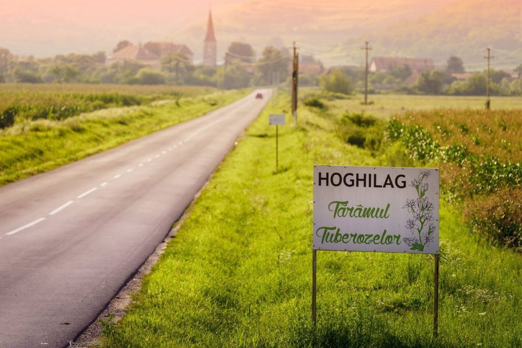 c-sarbatoarea-tuberozelor