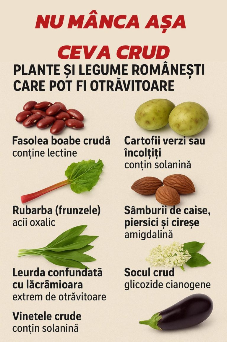 WhatsApp Image 2025-09-11 at 19.42.12