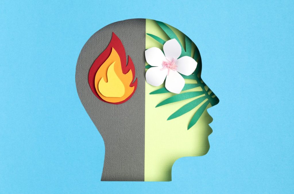 can-you-detox-your-brain