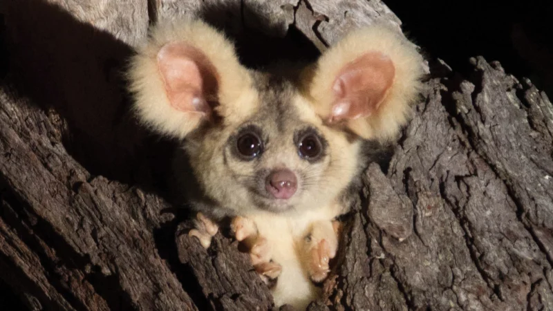 5114876b9ee480c7a51f1e558846da6e39af8cbd