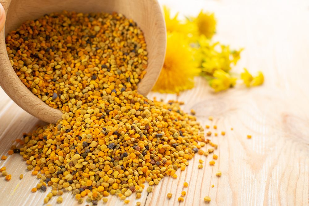 Bee Pollen, Perga, Flower Pollen Grains or Bee Bread