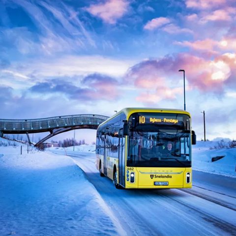 8ac292568d4047ec018d77e317650016-480x480