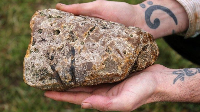 _99615019_apex_ambergris_discovery_devon_02