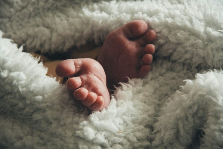 david-vilches-jT6mnQgOvq4-unsplash