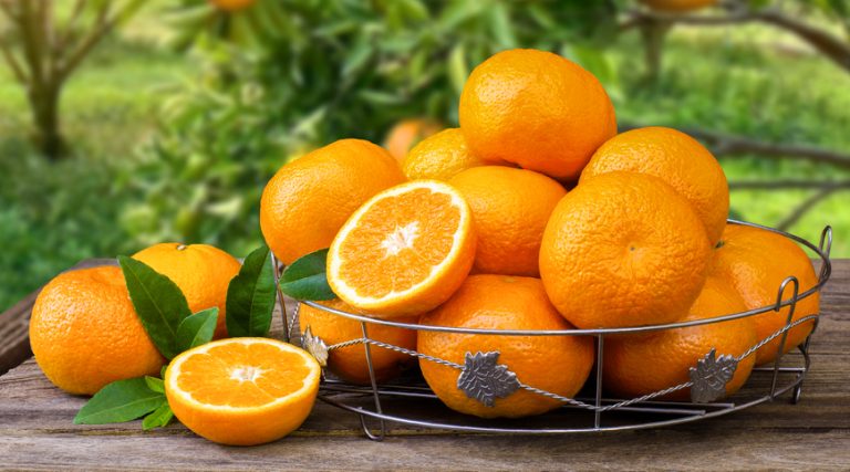 Orange fruit in basket on wooden table with oranges tree in garden