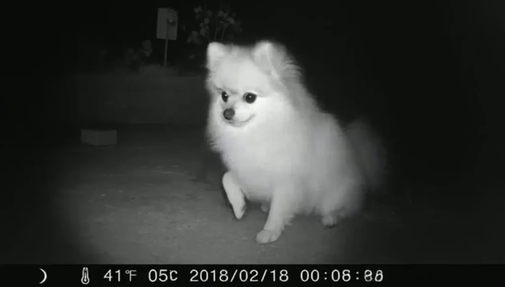 QYA-Generated_Scene_mmake_this_person_kiss_her_two_medals_then_V4