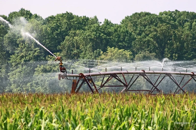 What_Is_the_Best_Irrigation_System_for_Growing_Crops-min