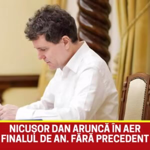 602978232_1288227736681221_508061807478864950_n-1-300x300-1