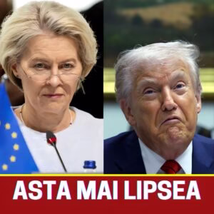 607946041_1297440655759929_3596641442658882908_n-1-300x300-1