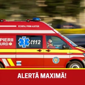 615082802_1302484931922168_8900631206041090081_n-1-300x300-1