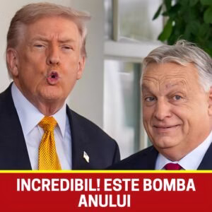 615180373_1302520335251961_2588092782129433261_n-1-300x300-1