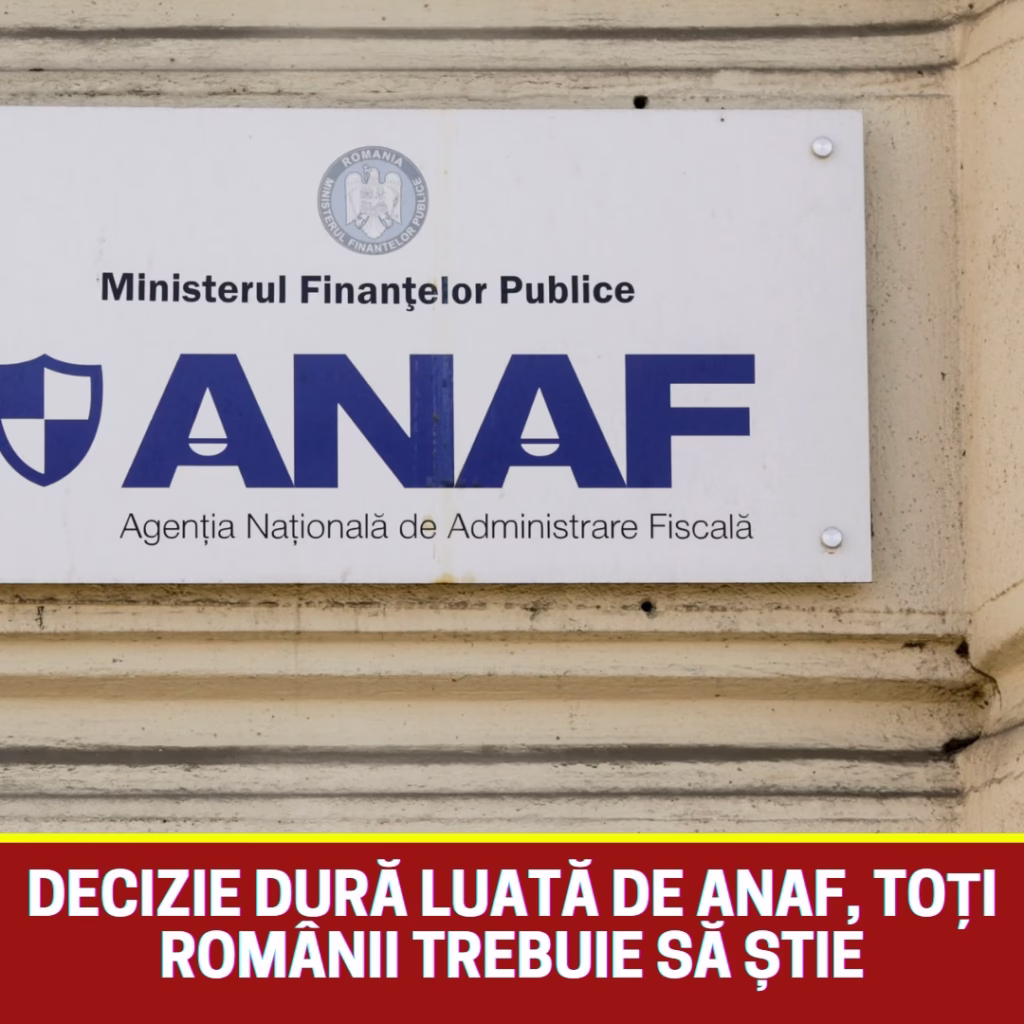 616143522_1476456860511861_857726674001900130_n-1024x1024