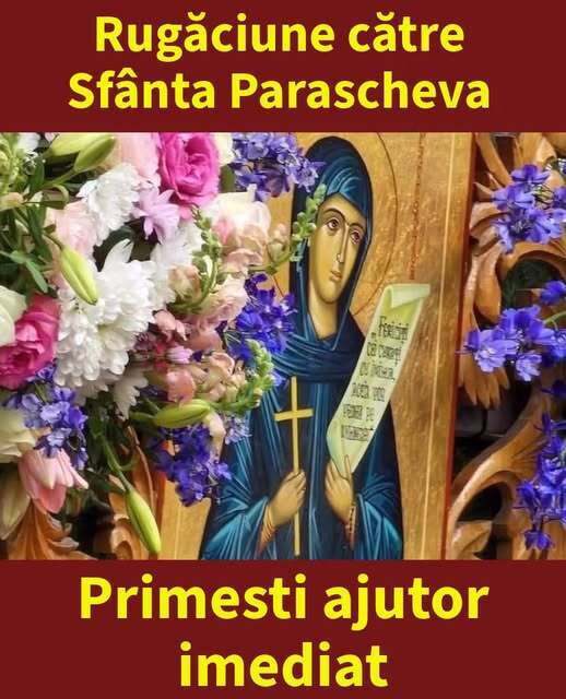 616303882_894392969615580_1049469121915224662_n