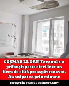 616769857_1305916388245689_4673050908397460717_n-240x300-1