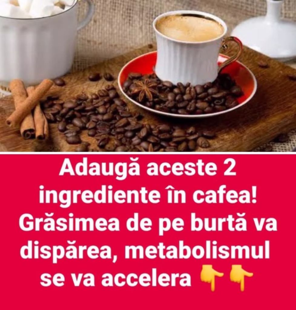 617956399_897202139334663_8113019430255273526_n-978x1024