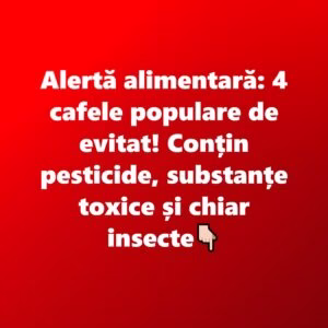 605740546_1293468416157153_4671764325775833273_n-1-300x300-1