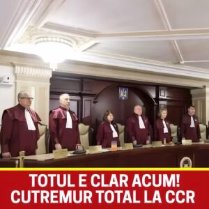 608115426_1293500489487279_1173887595166243326_n-1-300x300-1