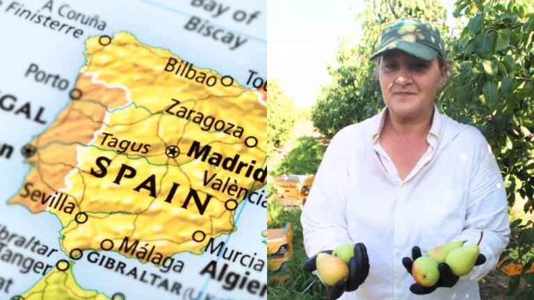 angela-contabila-cules-fructe-spania-2-3-1024x576