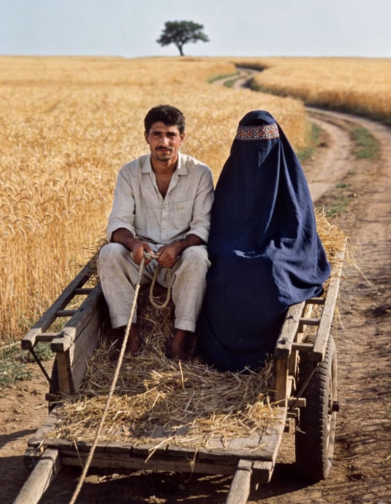 image-697-1-796x1024