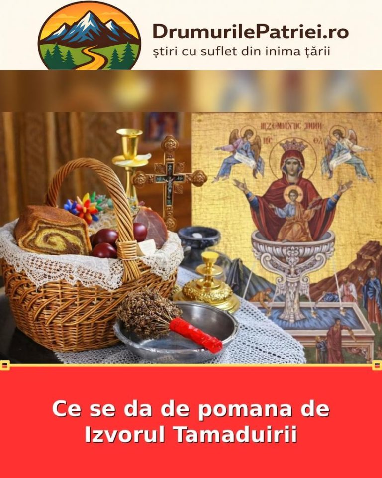 featured_safe-2499-819x1024