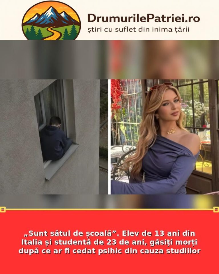 featured_safe-2638-819x1024