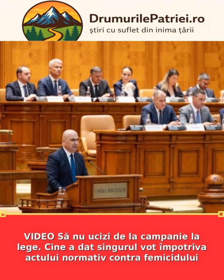 featured_safe-2698-819x1024