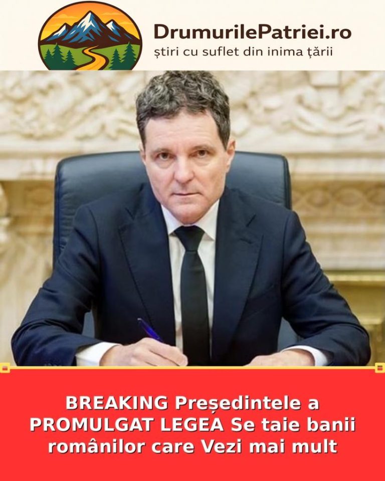 featured_safe-2703-819x1024