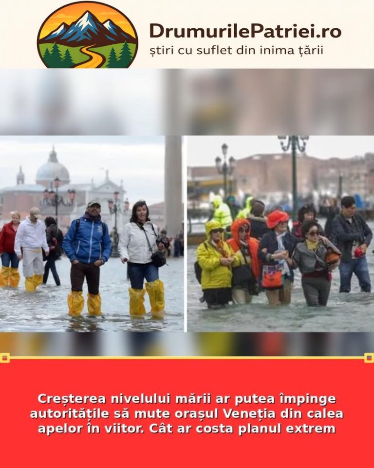 featured_safe-2811-819x1024