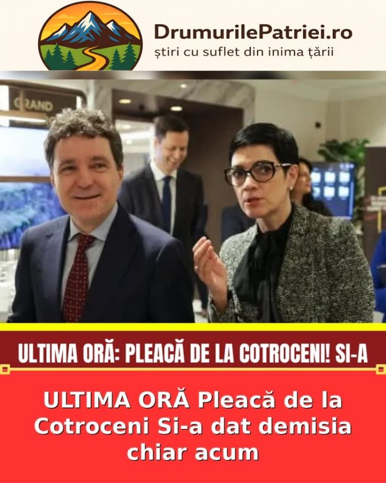 featured_safe-2872-819x1024