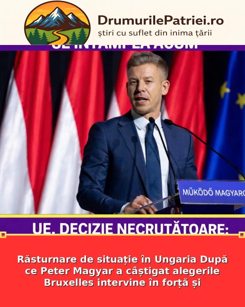 featured_safe-2875-819x1024