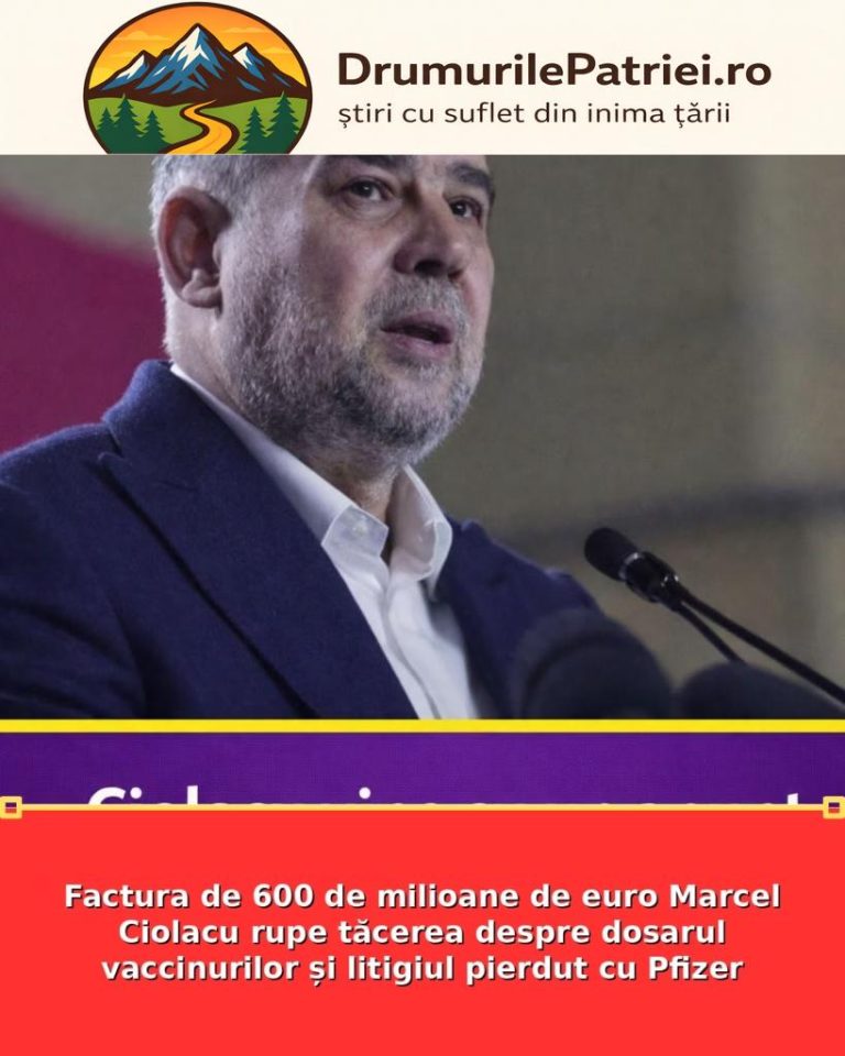 featured_safe-2879-819x1024