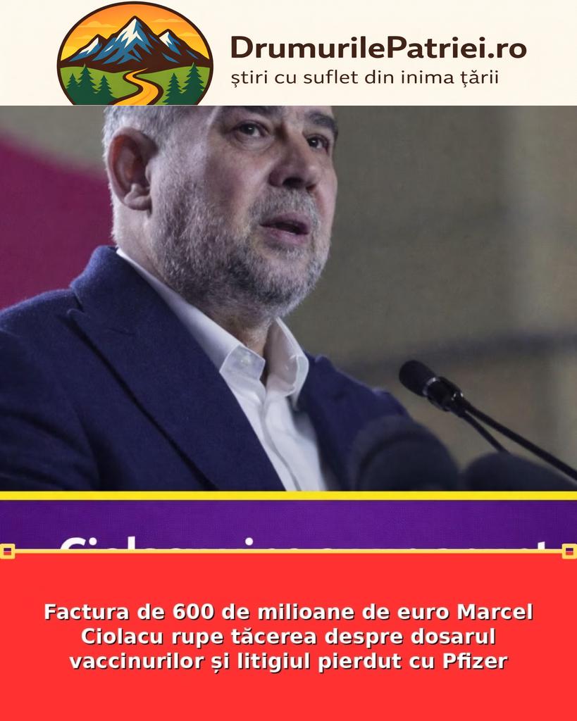 featured_safe-2879-819x1024