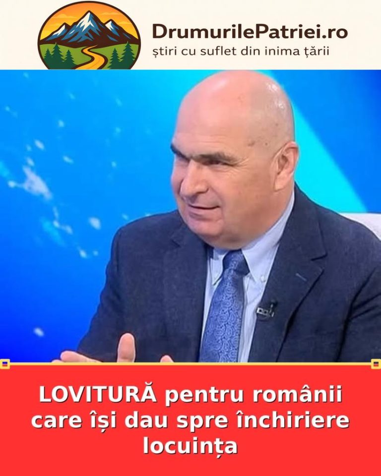 featured_safe-2936-819x1024