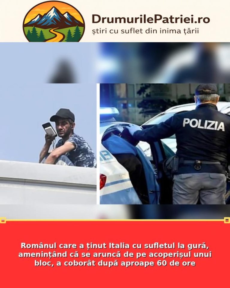 featured_safe-3157-819x1024