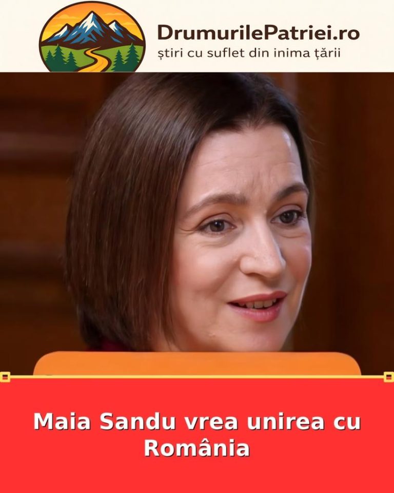 featured_safe-3287-819x1024