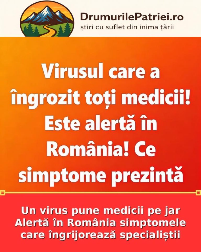 featured_safe-3302-819x1024