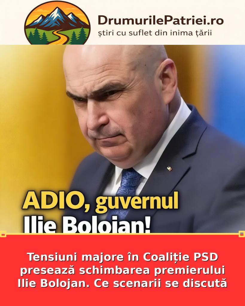 featured_safe-3304-819x1024