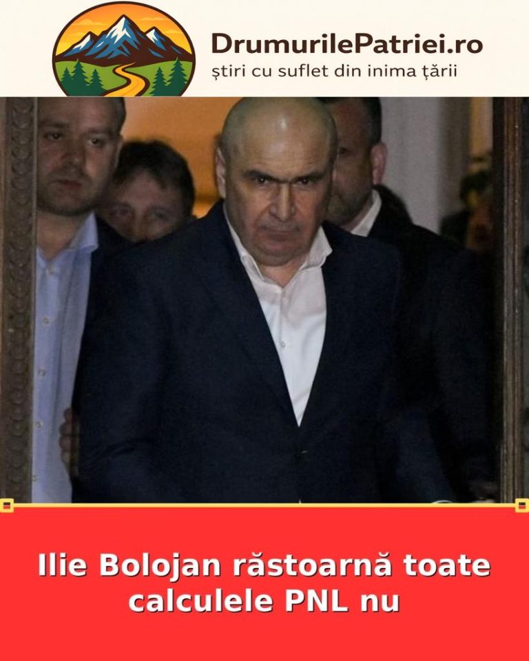 featured_safe-3507-819x1024