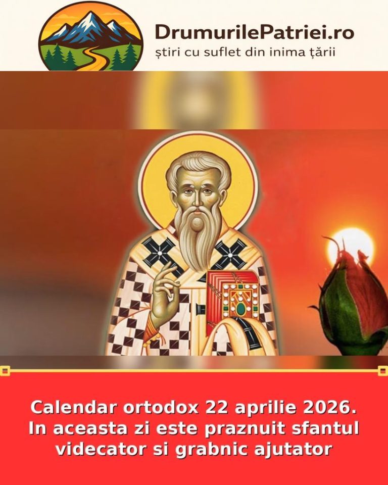 featured_safe-3519-819x1024