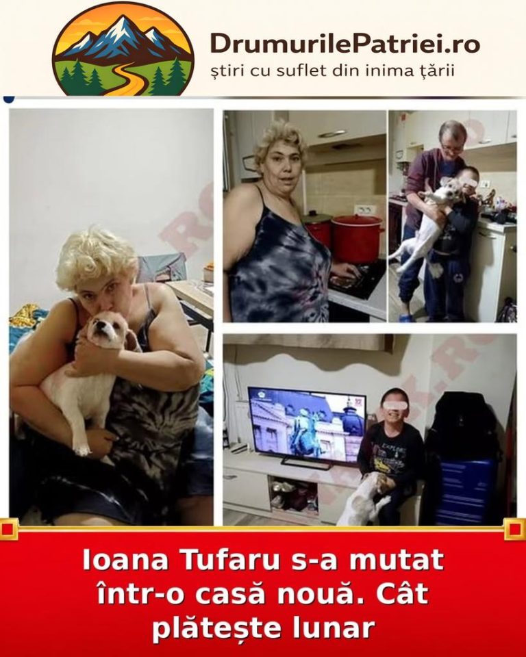 image-366