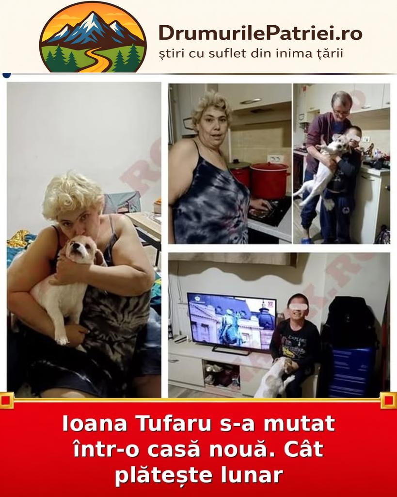 image-366